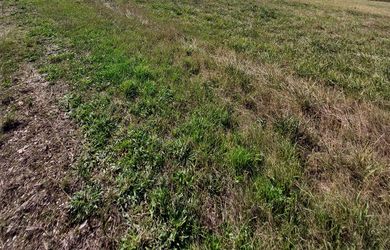 Pozemok 5000 m² v srdci Myjavských kopaníc – ideálne miesto pre alternatívne bývanie alebo mobilný dom!